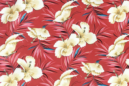 DF1658 Coral