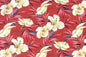 DF1658 Coral