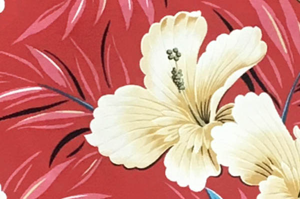 DF1658 Coral