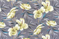 DF1658 Grey