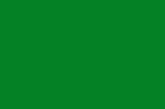 Lycra Spandex Frag Green