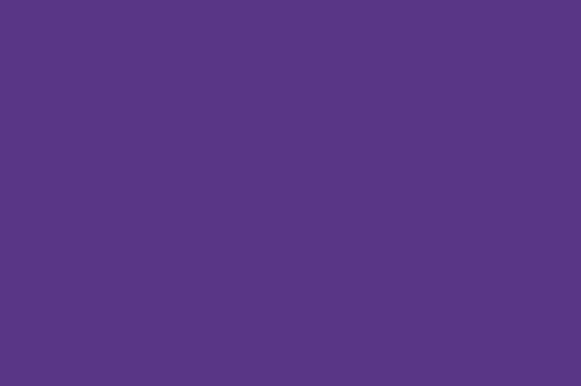 Lycra Spandex Purple