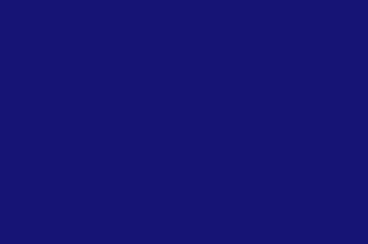 Lycra Spandex Royal