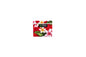 Coin Purse - New Plumeria Red
