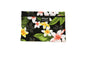 Cosmetic Pouch Small -  New Plumeria Black