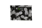Cosmetic Pouch Small -  Pineapple Paradise Black
