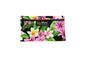 Glasses Pouch - Tropical Plumeria Black
