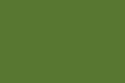 Mirror Organza Sage