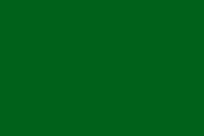 Mirror Organza Frag Green