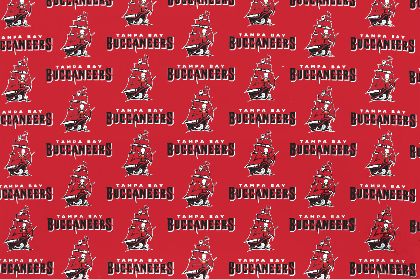Tampa Bay Buccaneers- NFL0028