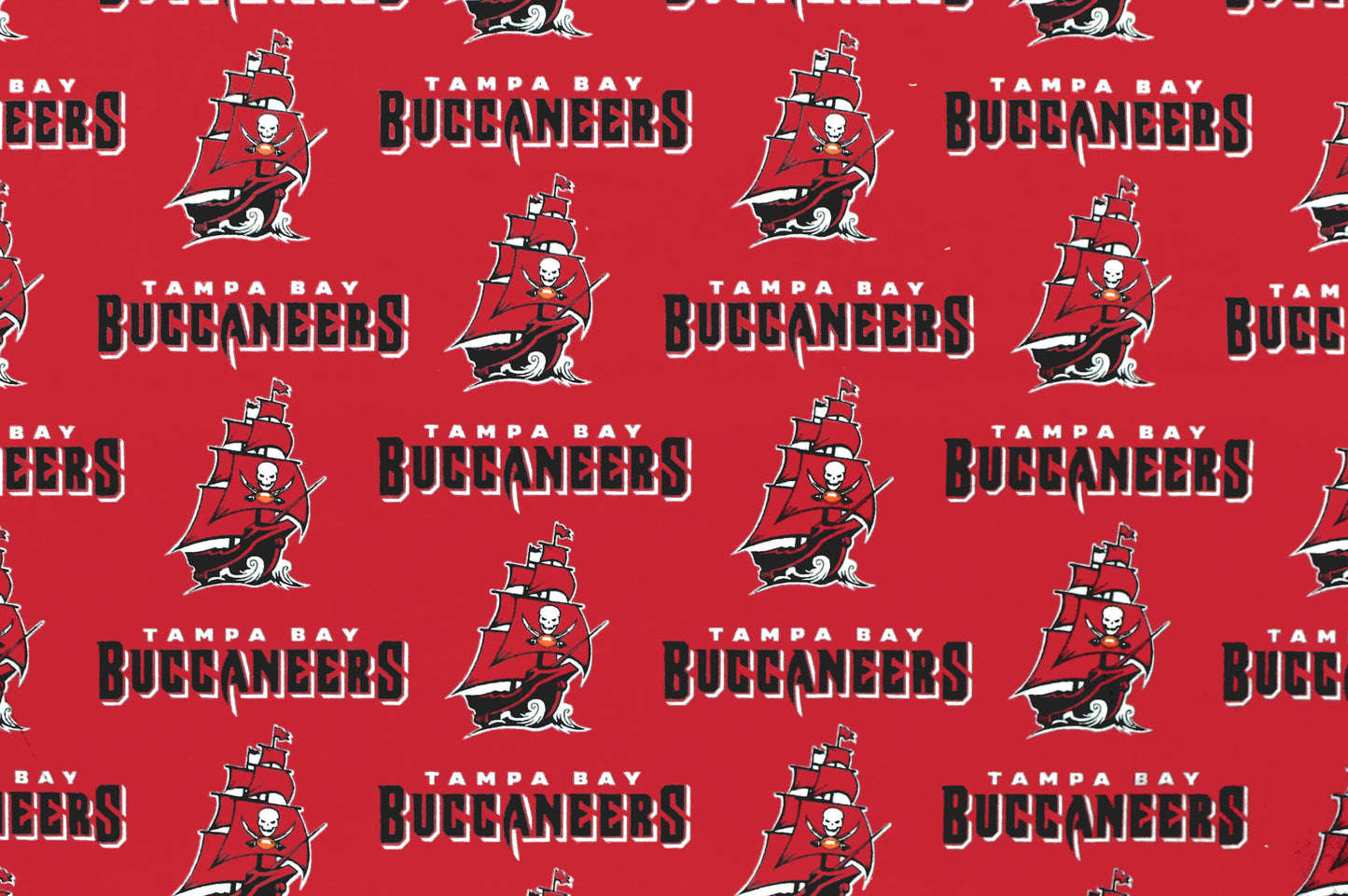 Tampa Bay Buccaneers- NFL0028