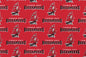 Tampa Bay Buccaneers- NFL0028