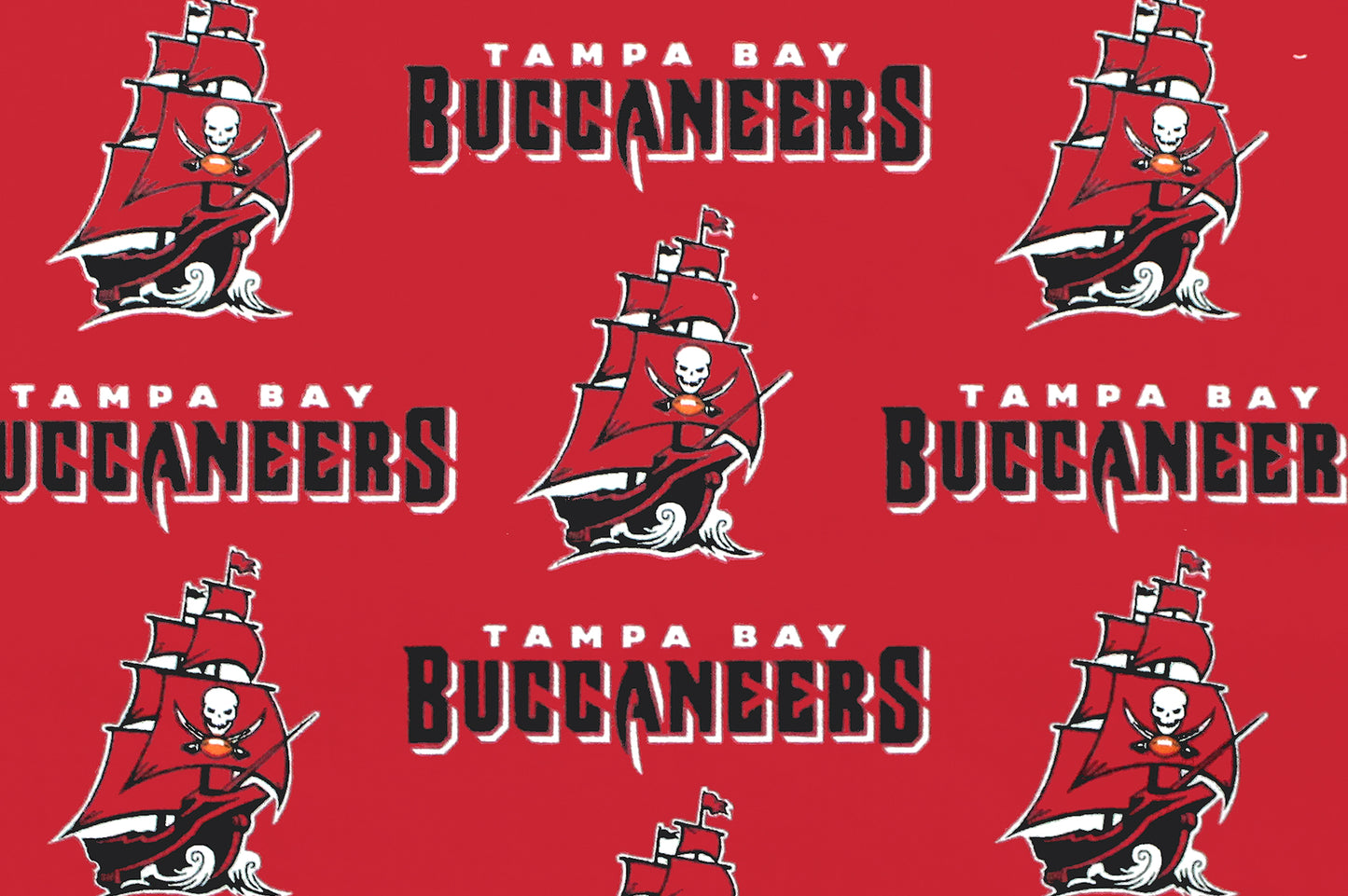 Tampa Bay Buccaneers- NFL0028