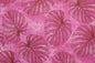 PAA1149 Pink