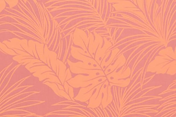PAB0680 Coral