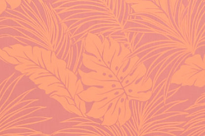 PAB0680 Coral