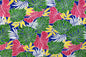 PAB0864 Royal