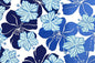 PAB0888 Cream/Blue