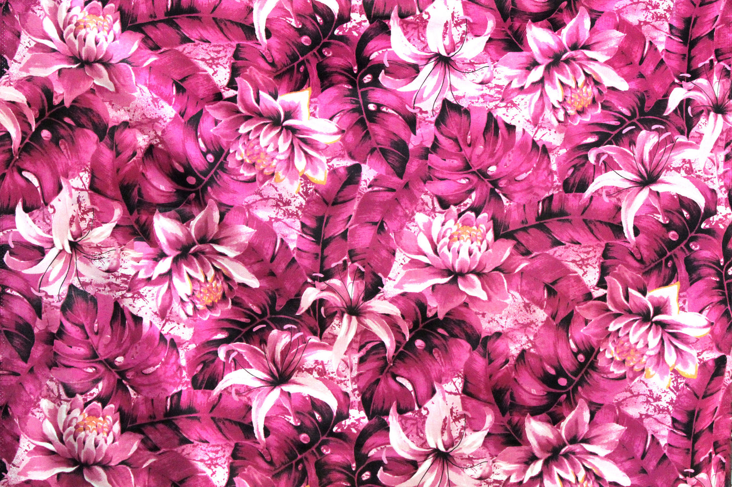 PAB0985 Rose