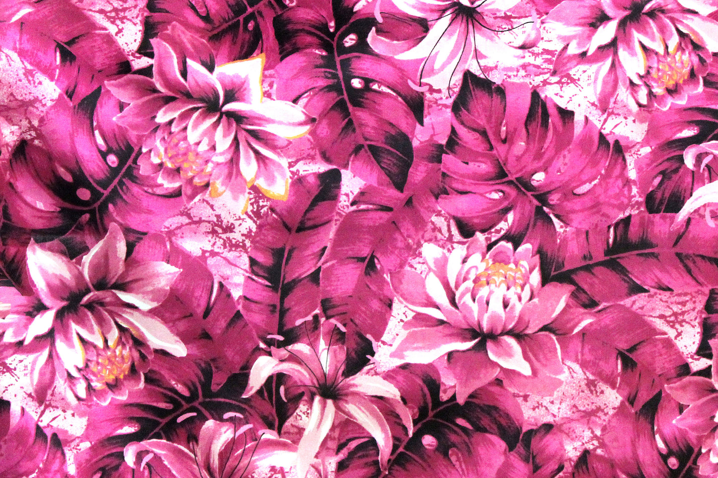 PAB0985 Rose
