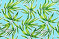 PAC1333 Blue