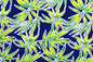 PAC1333 Royal
