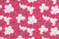 PAC1348 Pink