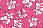 PAC1356 Pink