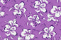 PAC1356 Purple