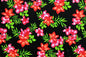 PAC1357 Black