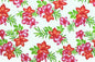 PAC1357 Cream
