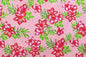 PAC1357 Pink