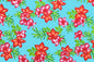PAC1357 Turquoise