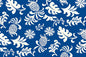 PAC1364 Blue