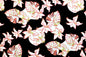 PAC1365 Black