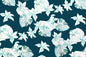 PAC1365 Teal