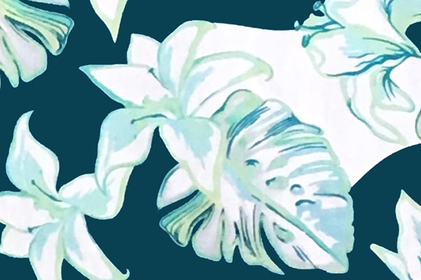PAC1365 Teal