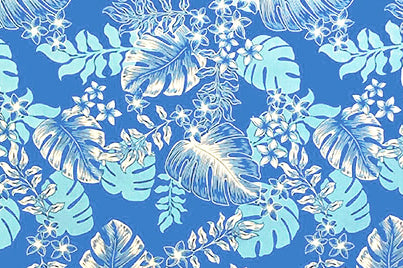 PAC1366 Blue
