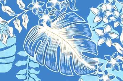PAC1366 Blue