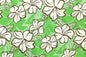 PAC1376 Green/Brown
