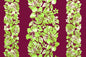 PBA1291 Plum