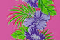 PBB2610 Pink
