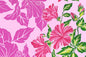PBB2635 Pink