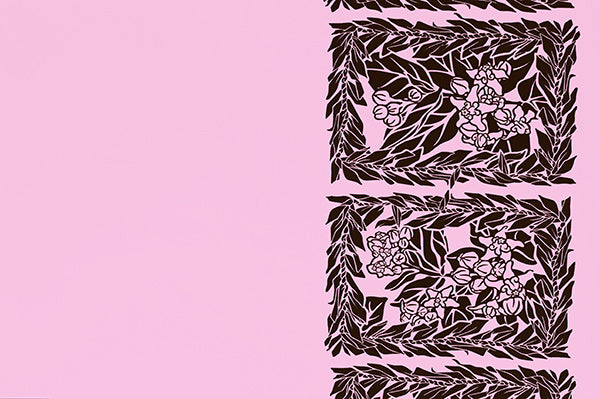 PBB2656 Brown/Pink
