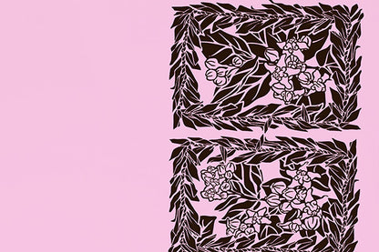 PBB2656 Brown/Pink
