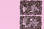 PBB2656 Brown/Pink