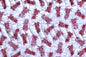 QF0012 Red