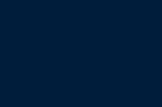 Shiny Satin (Bridal Satin) Navy