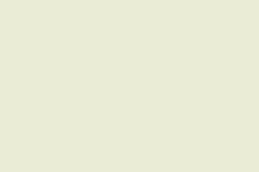 Felt Ivory