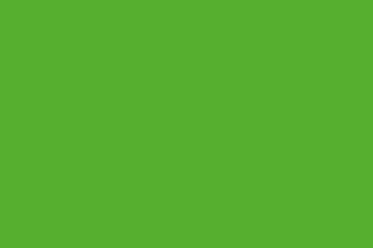 Felt Lime